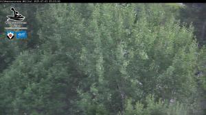 Blick Talaufwärts 2 2025-07-03 05:00
