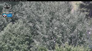 Blick Talaufwärts 2 2025-07-03 13:00