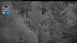 Blick Talaufwärts 2 2025-07-11 05:00