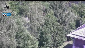 Blick Talaufwärts 2 2025-07-11 16:00
