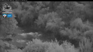 Blick Talaufwärts 2 2025-07-12 05:00