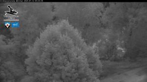Blick Talaufwärts 2 2025-07-12 05:00