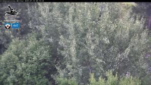 Blick Talaufwärts 2 2025-07-13 06:00