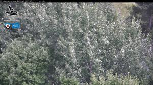 Blick Talaufwärts 2 2025-07-13 11:00
