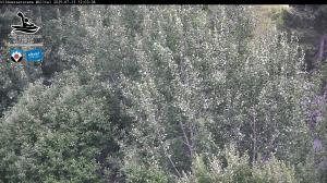 Blick Talaufwärts 2 2025-07-13 12:00