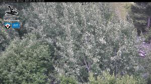 Blick Talaufwärts 2 2025-07-13 13:00