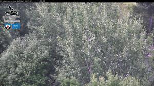 Blick Talaufwärts 2 2025-07-13 19:00