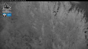 Blick Talaufwärts 2 2025-07-14 05:00
