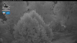 Blick Talaufwärts 2 2025-07-14 05:00