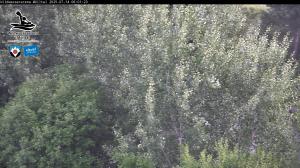 Blick Talaufwärts 2 2025-07-14 06:00