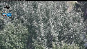 Blick Talaufwärts 2 2025-07-14 11:00