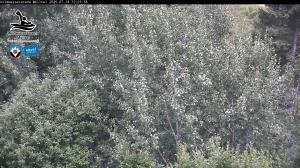 Blick Talaufwärts 2 2025-07-14 12:00