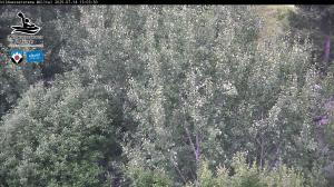 Blick Talaufwärts 2 2025-07-14 13:00