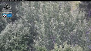Blick Talaufwärts 2 2025-07-14 14:00