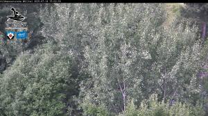 Blick Talaufwärts 2 2025-07-14 15:00
