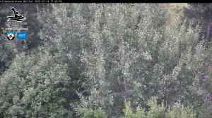 Blick Talaufwärts 2 2025-07-14 17:00