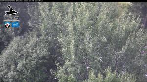 Blick Talaufwärts 2 2025-07-14 20:00