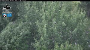 Blick Talaufwärts 2 2025-07-14 21:00