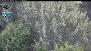 Blick Talaufwärts 2 2025-07-15 06:00