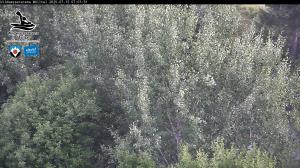 Blick Talaufwärts 2 2025-07-15 07:00