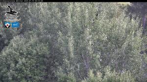 Blick Talaufwärts 2 2025-07-15 08:00