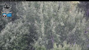 Blick Talaufwärts 2 2025-07-15 10:00