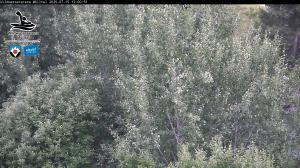 Blick Talaufwärts 2 2025-07-15 12:00