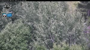 Blick Talaufwärts 2 2025-07-15 13:00