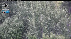 Blick Talaufwärts 2 2025-07-15 14:00