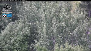 Blick Talaufwärts 2 2025-07-15 15:00