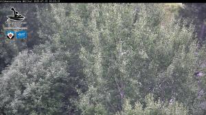 Blick Talaufwärts 2 2025-07-15 16:00