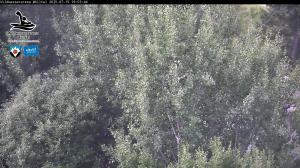 Blick Talaufwärts 2 2025-07-15 19:00
