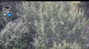 Blick Talaufwärts 2 2025-07-15 20:00