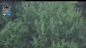 Blick Talaufwärts 2 2025-07-15 21:00