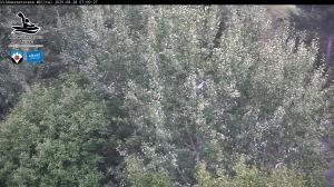 Blick Talaufwärts 2 2025-08-28 07:00