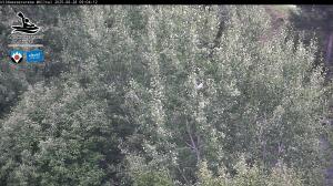 Blick Talaufwärts 2 2025-08-28 09:00