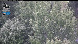 Blick Talaufwärts 2 2025-08-28 10:00