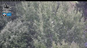 Blick Talaufwärts 2 2025-08-28 11:00