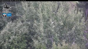 Blick Talaufwärts 2 2025-08-28 12:00