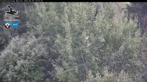 Blick Talaufwärts 2 2025-08-28 13:00