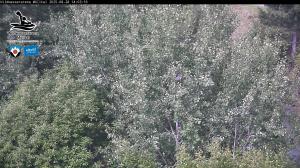 Blick Talaufwärts 2 2025-08-28 14:00