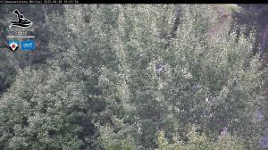 Blick Talaufwärts 2 2025-08-28 16:00