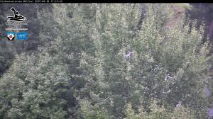 Blick Talaufwärts 2 2025-08-28 17:00