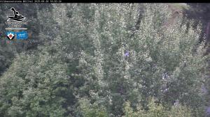 Blick Talaufwärts 2 2025-08-28 18:00