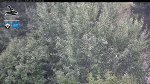 Blick Talaufwärts 2 2025-08-29 07:00