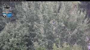 Blick Talaufwärts 2 2025-08-29 08:00