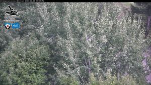 Blick Talaufwärts 2 2025-08-29 11:00