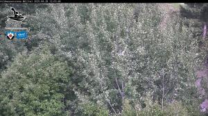 Blick Talaufwärts 2 2025-08-29 12:00