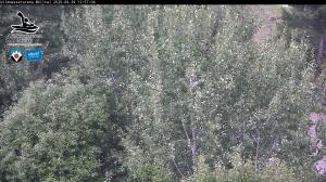 Blick Talaufwärts 2 2025-08-29 13:00