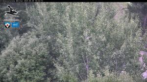 Blick Talaufwärts 2 2025-08-29 14:00